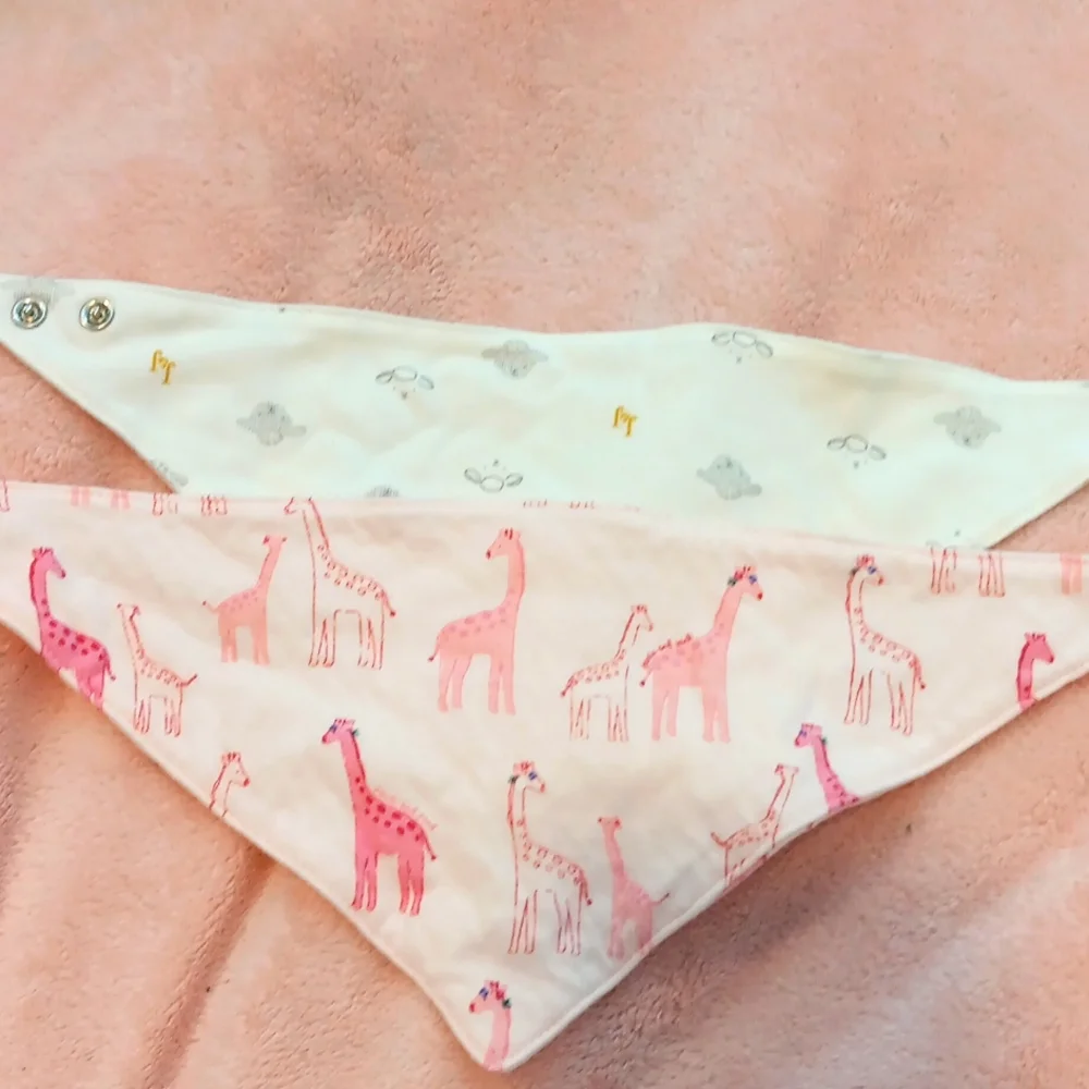 Set of 2 Janie and Jack Bibs